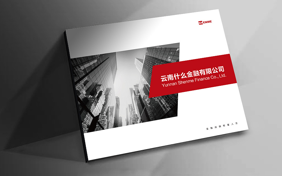 金融企業(yè)投資公司畫冊設(shè)計【什么金融】